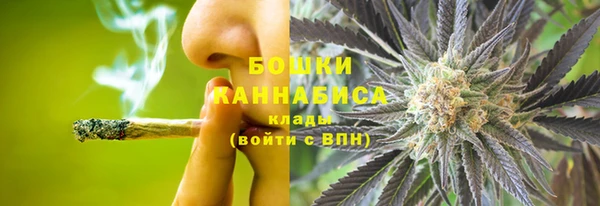 Альфа ПВП Нягань