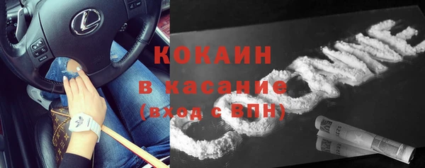 прущие грибы Алексеевка