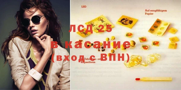 прущие грибы Алексеевка