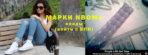 прущие грибы Алексеевка