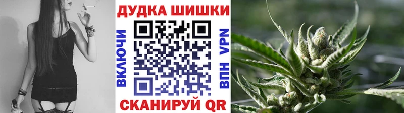 Каннабис индика  Алзамай 